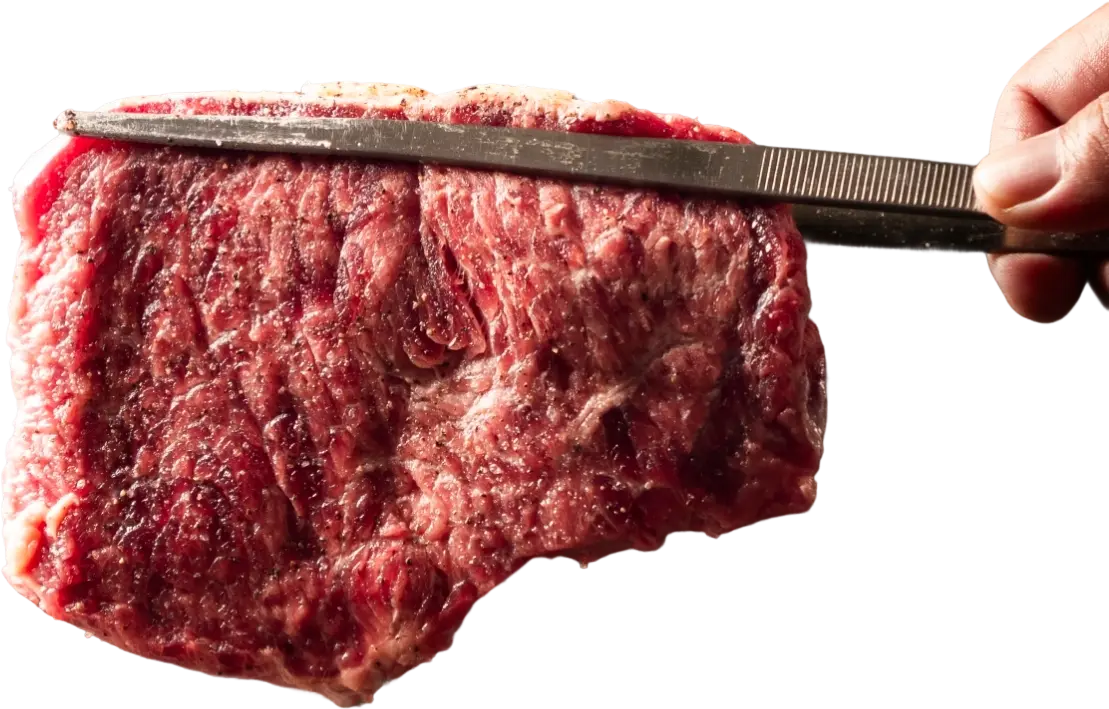 meat